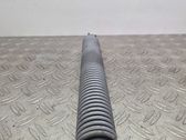 Tailgate/trunk strut/damper