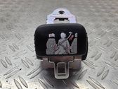 Roof seat belt