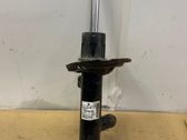 Front shock absorber/damper