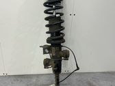 Front shock absorber with coil spring