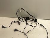 Other wiring loom