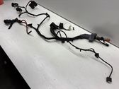 Other wiring loom
