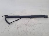 Tailgate/trunk strut/damper