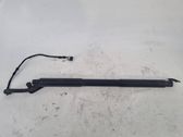 Tailgate/trunk strut/damper