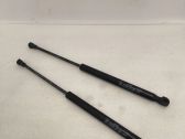 Front bonnet/hood damper/strut