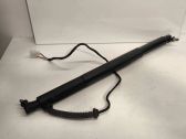 Tailgate/trunk strut/damper