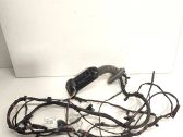 Front door wiring loom