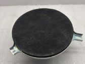 Rear door speaker