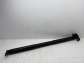 Tailgate/trunk strut/damper
