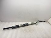 Tailgate/trunk strut/damper