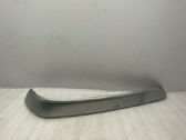 Rear door trim (molding)