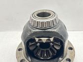 Rear differential