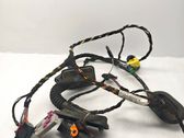 Front door wiring loom