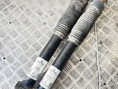 Rear shock absorber/damper