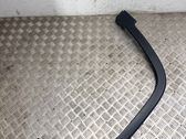 Fender trim (molding)