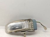 Front fender indicator light