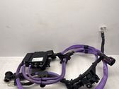 Positive wiring loom