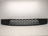Front bumper lower grill