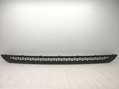Front grill