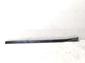 Front door glass trim molding