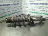 Front shock absorber with coil spring