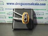 Radiatore di raffreddamento A/C (condensatore)