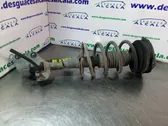 Front shock absorber with coil spring