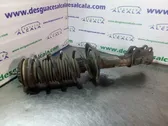 Front shock absorber with coil spring