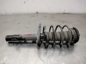 Front shock absorber with coil spring