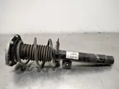 Front shock absorber with coil spring