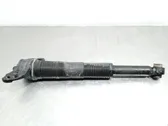 Rear shock absorber/damper