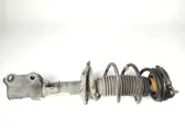 Front shock absorber with coil spring