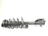 Front shock absorber with coil spring