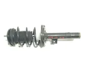 Front shock absorber with coil spring