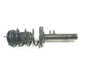 Front shock absorber with coil spring