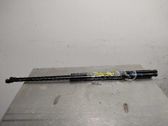 Tailgate/trunk strut/damper