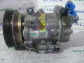 Klimakompressor Pumpe