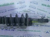 Amortiguador delantero con muelle espiral