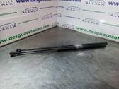 Tailgate/trunk strut/damper