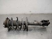 Amortiguador delantero con muelle espiral