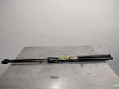 Tailgate/trunk strut/damper