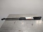 Tailgate/trunk strut/damper