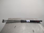 Tailgate/trunk strut/damper