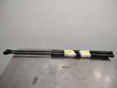 Tailgate/trunk strut/damper
