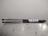 Tailgate/trunk strut/damper