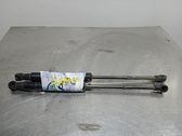 Front bonnet/hood damper/strut
