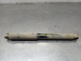 Rear shock absorber/damper