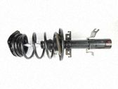 Amortiguador delantero con muelle espiral