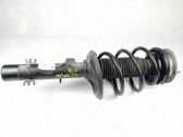 Amortiguador delantero con muelle espiral