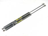 Tailgate/trunk strut/damper